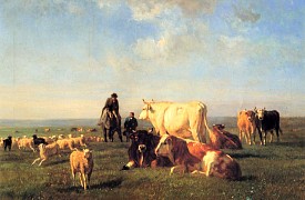 Cows and Sheep Grazing